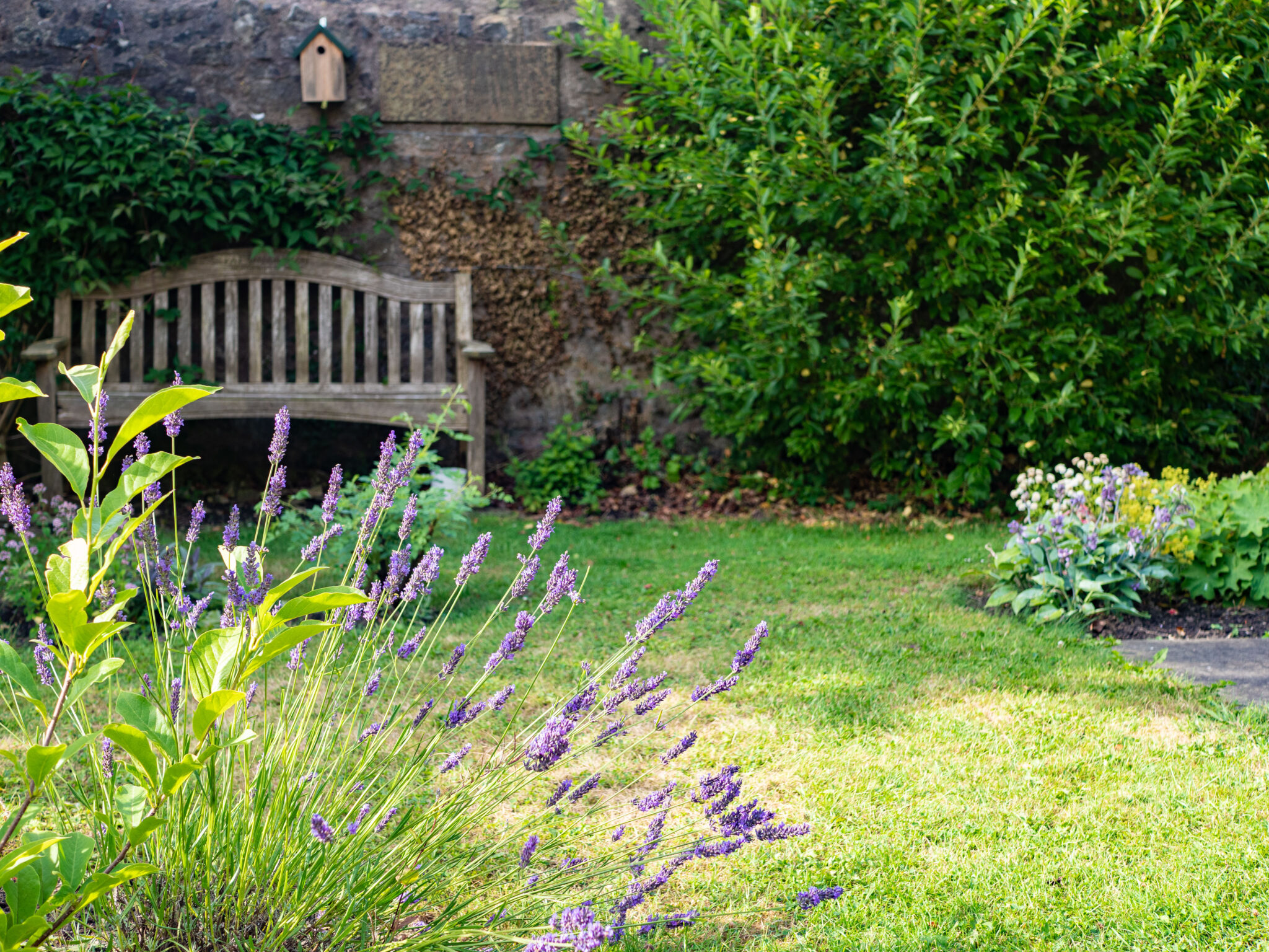 Our Church Garden St Marys Clitheroe